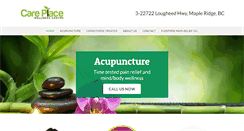 Desktop Screenshot of careplacewellnesscentre.com